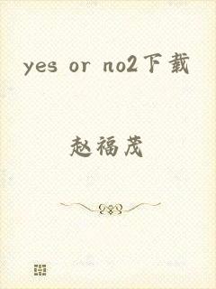 yes or no2下载